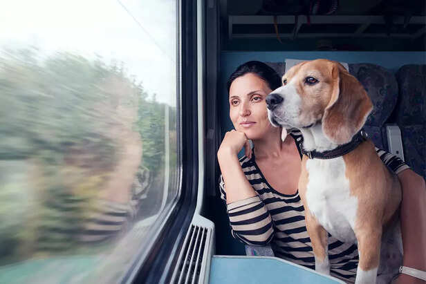 Pets in Train