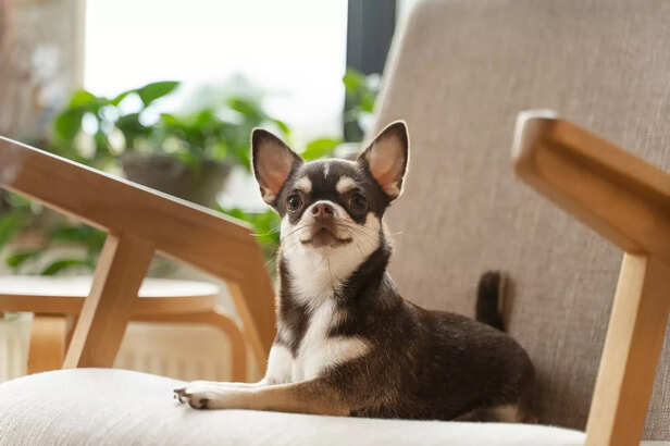 _Common Behavioral Changes