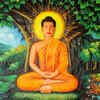 Buddha-The Enlightened One