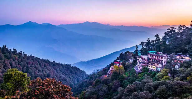 Queen of Hills