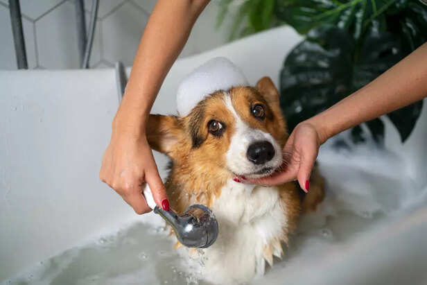Grooming Without the Gunk