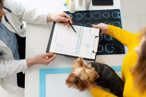 Your Pet Emergency Checklist- Quick &amp; Clear