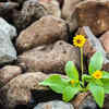 Life in Changing time