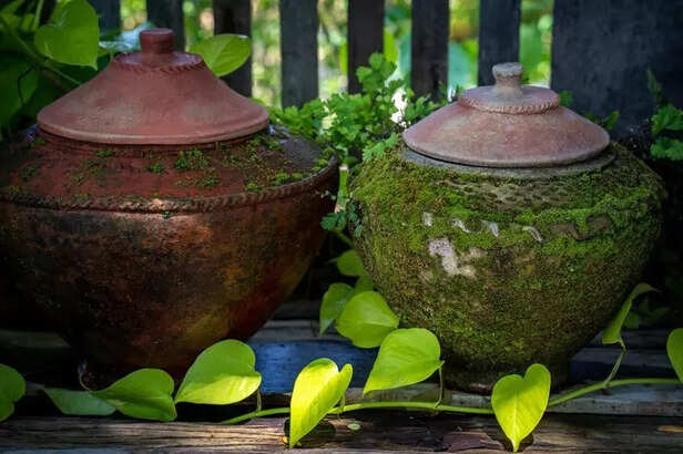 Why Matka Water Isn’t Just Cool—It’s Healing