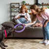 Training Tricks for Happy Pets (and Owners)