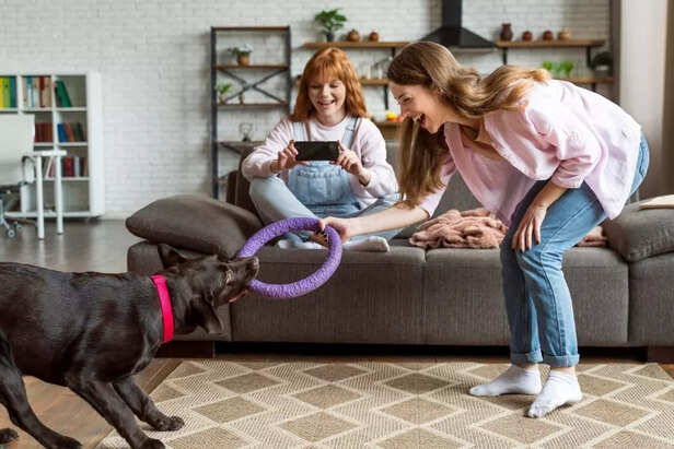 Training Tricks for Happy Pets (and Owners)