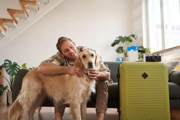 Traveling with Pets_ What to Know