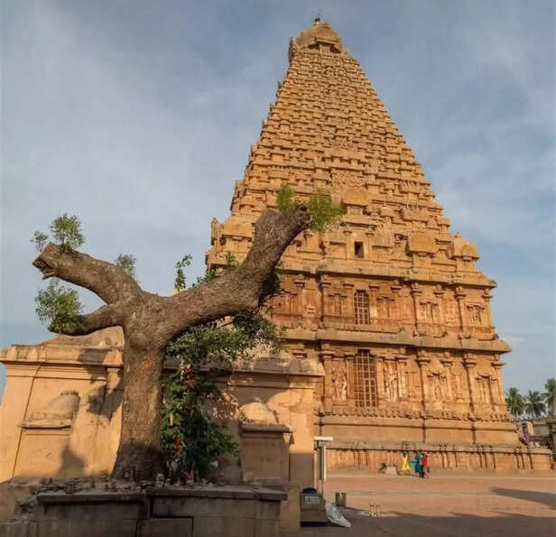 (picture credit : Instagram)