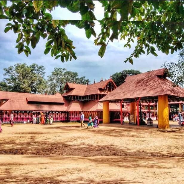 (picture credit : Instagram)