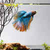How to train your pet fish