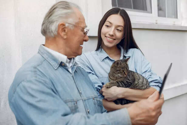 Busting Myths About Senior Pets