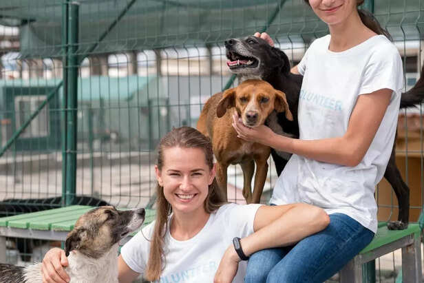 Step-by-Step_ Gradual Socialization Plan