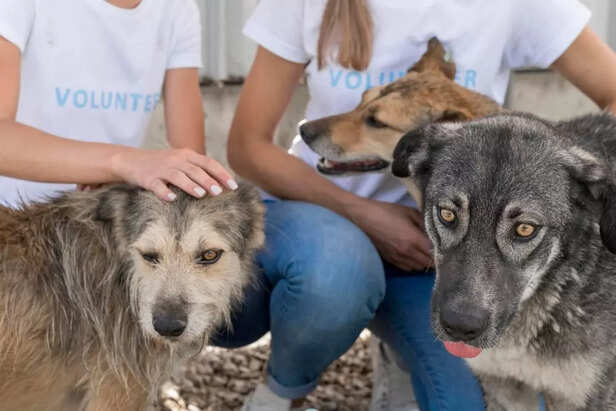 Long-Term Harmony_ Keeping the Peace