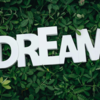 Dream Secret