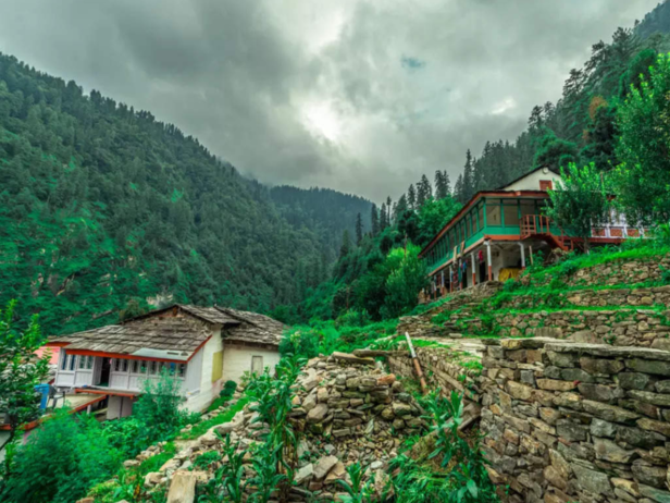 ​Dandakaranya jungle