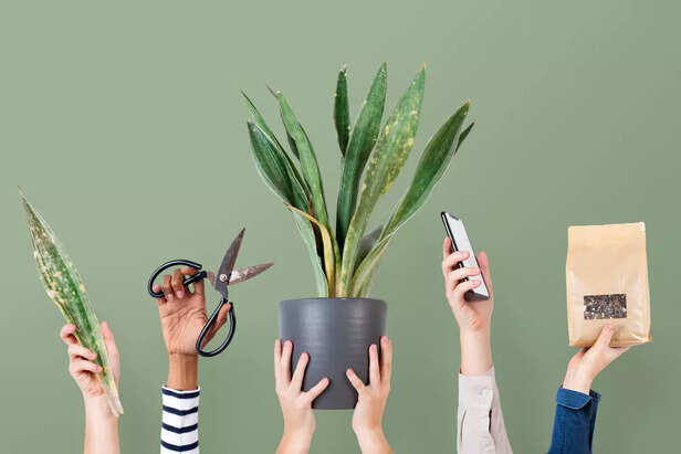 Best makeup and skincare products.