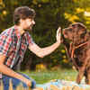 evolve with your dog