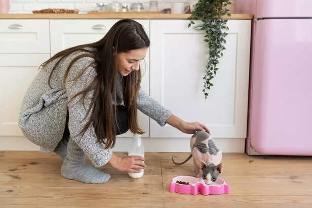 How to Make Treats for Both Dogs and Cats (1)