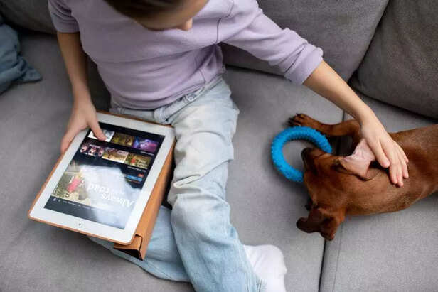 Smart Feeders: Accuracy and Peace of Mind