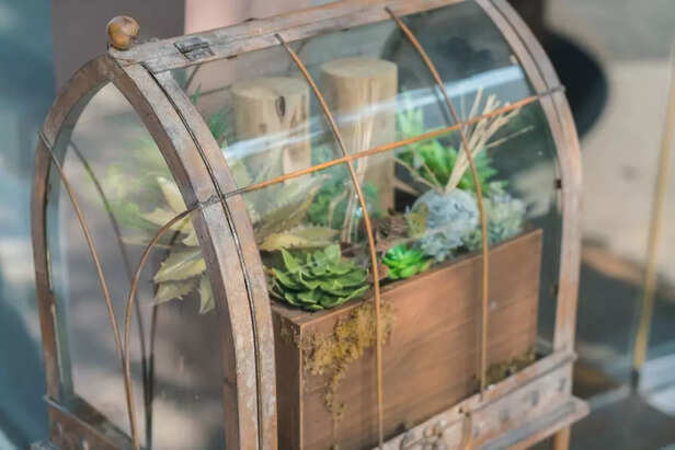 Planting Your Terrarium