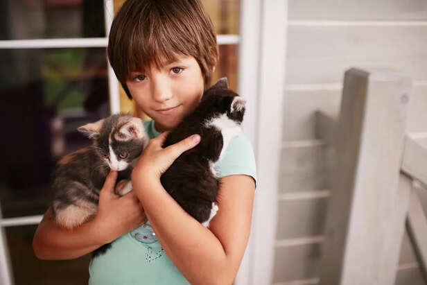 Introducing New Cats (or Reintroducing Old Ones)