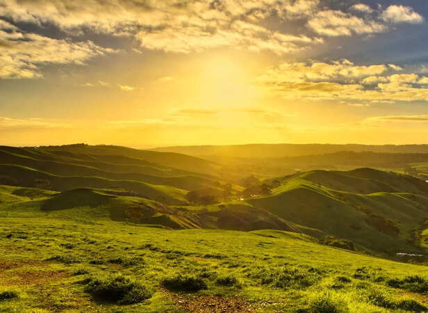 New Day