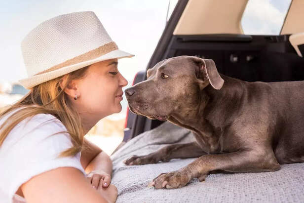 Road trips and pets equals Summer Goals