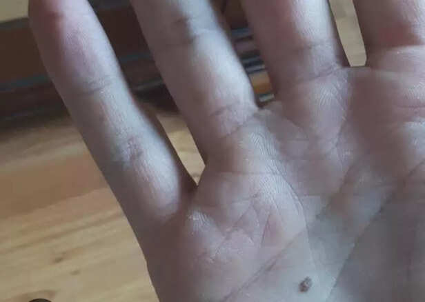 The Hand That Holds Fates