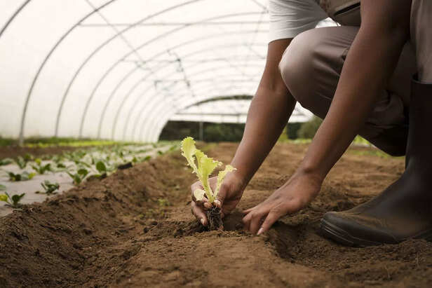 side-view-peasant-hands-gardening-min