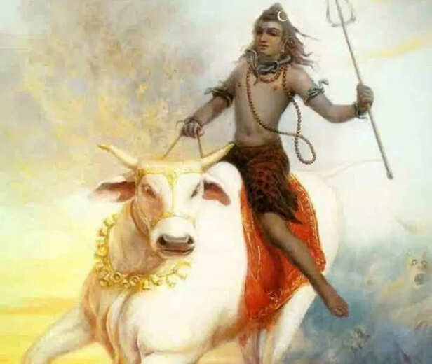 The Sage Among Sages