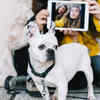 Capture Memories with a Pet Photoshoot