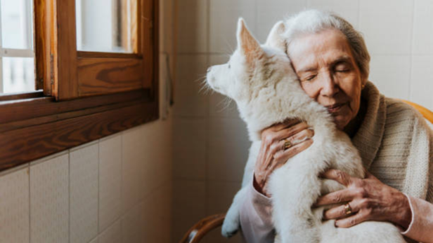 Pets pick up on human moods by piecing together various sensory inputs