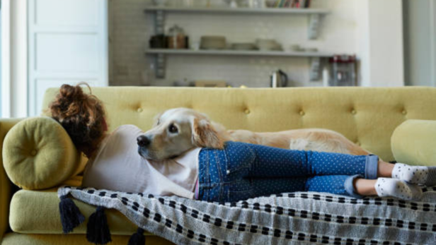 A dog will place its head in your lap when you cry