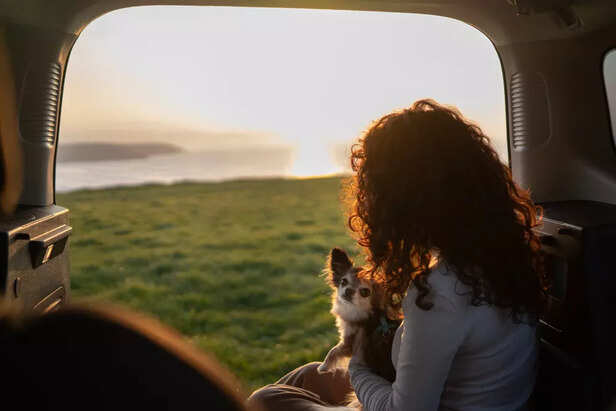 Traveling Pet Owners