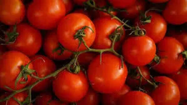 Tomato