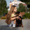 How Pets Help Build Social Skills in ADHD Kids