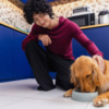 Pets are unable to tell you with words what they want, their body does that instead