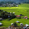 ziro.