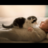 baby with baby cat