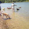 Shawnee Mission Dog Park, Kansas City, Kansas