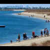 Fiesta Island Dog Park, San Diego, California