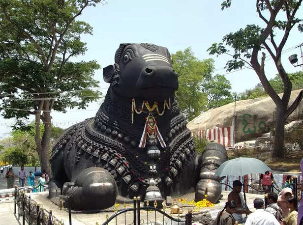 Nandi the Sacred Bull of Shiva