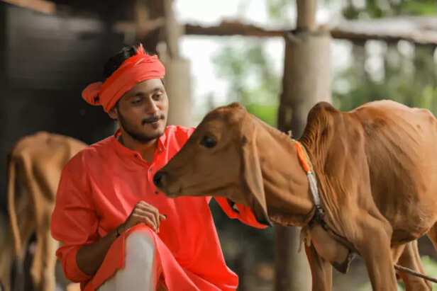 young indian farmer with his cow