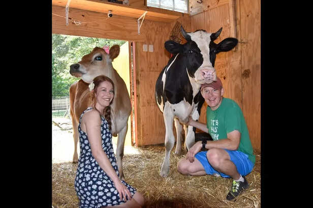 family time with pets