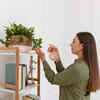 Safe house plants for birds