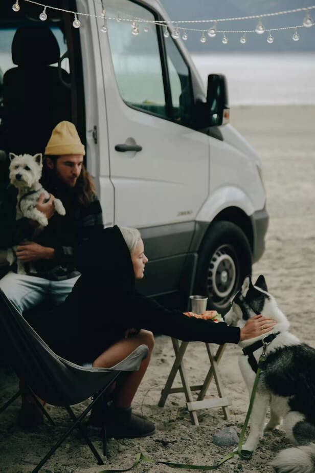 Pet's priority should matter