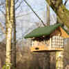 Aviary for birds