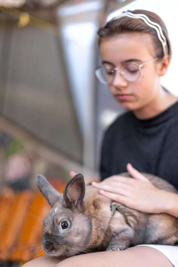 the year we heard our pets