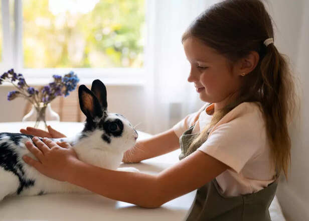 emotional paws, quiet cries