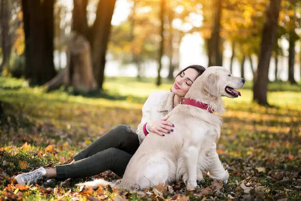 A Happy, Stress-Free Dog: